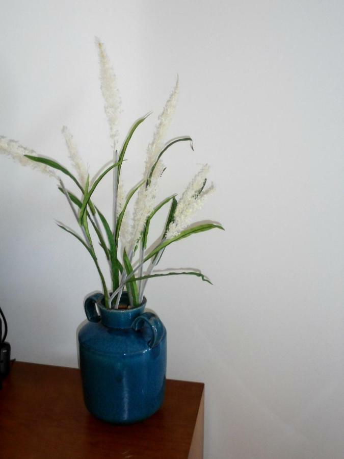 Apartmán Casa Da Flor Ponta Delgada Exteriér fotografie